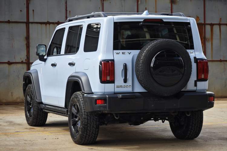 Used Tank 300 2021 2.0T Monet Tribute Limited Edition