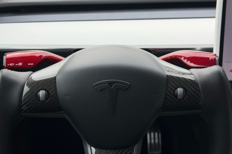 Used Tesla Model Y 2021 Long-Range All-Wheel-Drive Version 3D7
