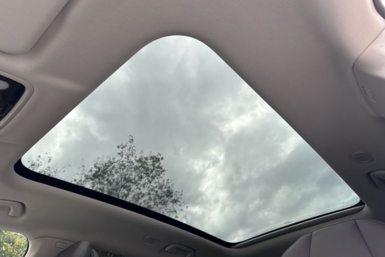 Used Leapmotor C11 2023 Pure Electric 500 Comfort Edition
