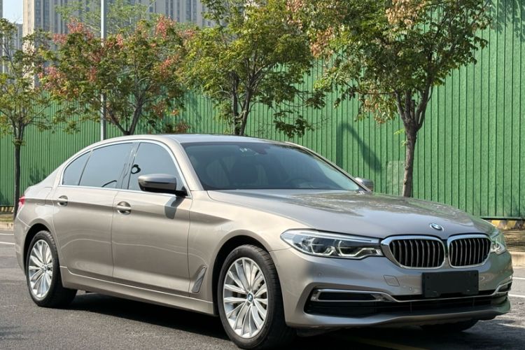 Used BMW 5 Series 2019 Facelifted 530Li Luxury Edition Premium Package
