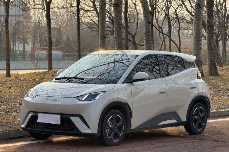 Used BYD Seagull 2023 Free Edition