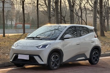 Used BYD Seagull 2023 Free Edition