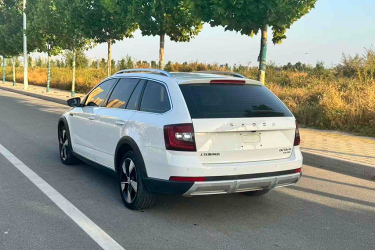 Used Skoda Octavia 2019 TSI280 DSG Luxury Edition Station Wagon China VI Standard
