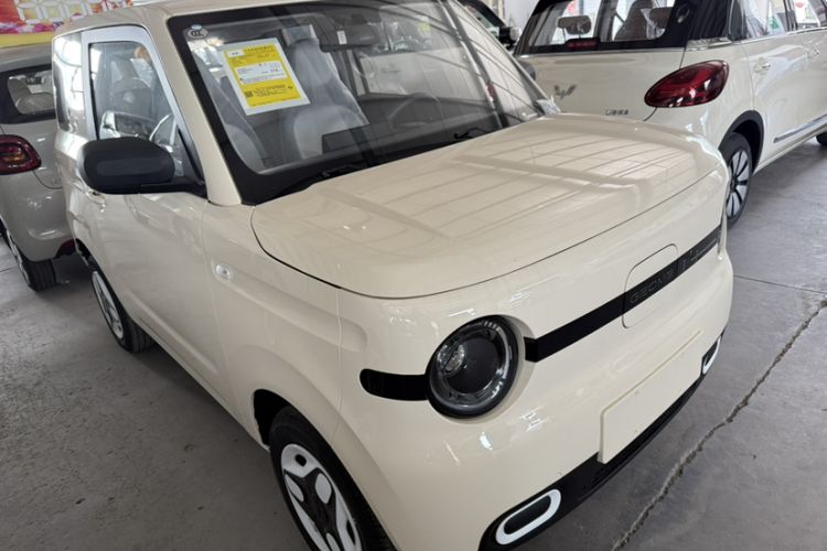 Used  Panda 2025 210 km – Yuanqi Bear
