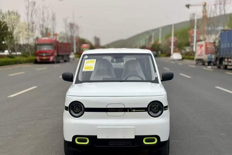 Used  Panda 2025 210 km – Yuanqi Bear
