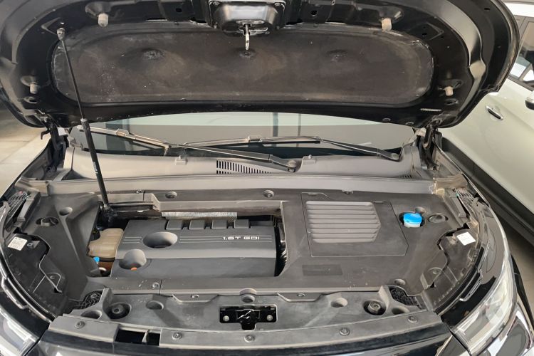 Used  Lingyun 2021 290T Two-Wheel Drive Starry Edition
