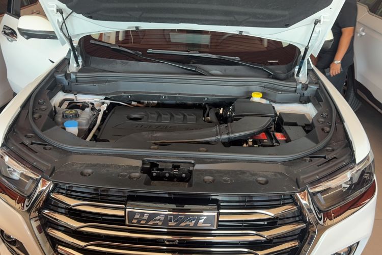 Used Haval H6 2021 National Trend Edition 1.5T Automatic Champion Version
