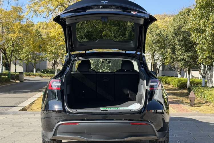 Used Tesla Model Y 2021 Standard Range Rear-Wheel Drive Version