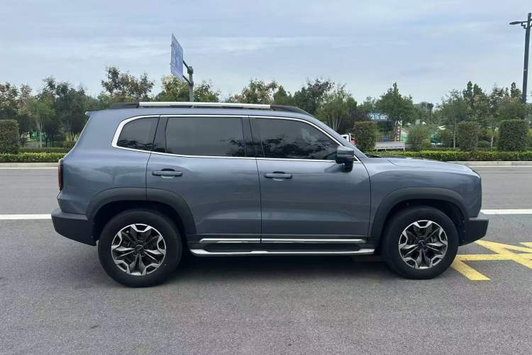 Used Haval DARGO 2022 2.0T DCT 4x4 Chinese Rural Dog Edition
