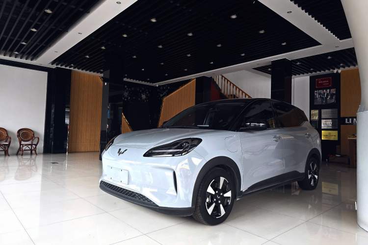 Used Wuling Bingo PLUS 2024 510 km Flagship Edition Four-Seater Version