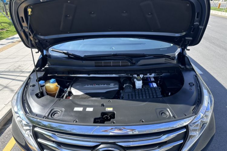 Used GAC Trumpchi M8 2019 320T Ultimate Edition
