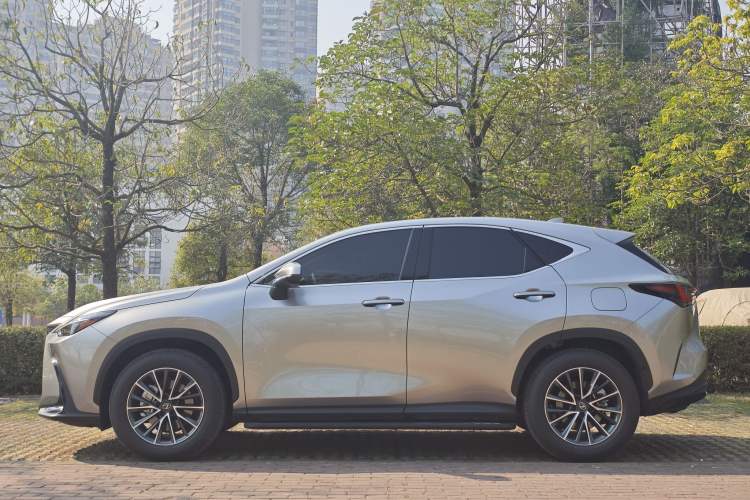 Used Lexus NX 
