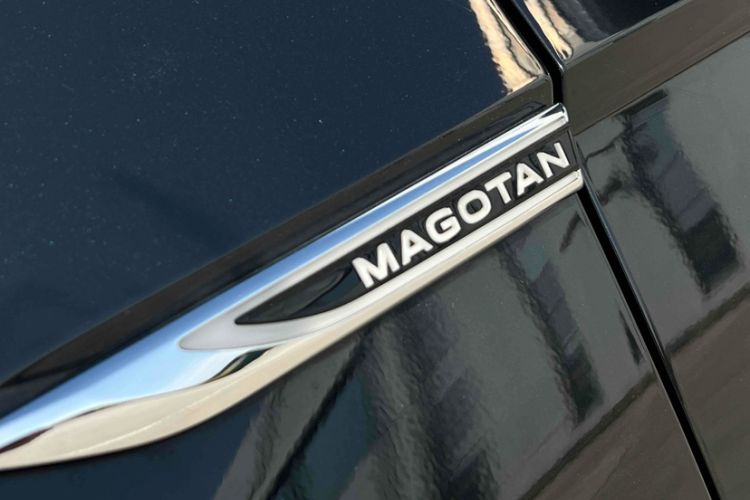 Used Volkswagen Magotan 2020 330TSI DSG Luxury Edition