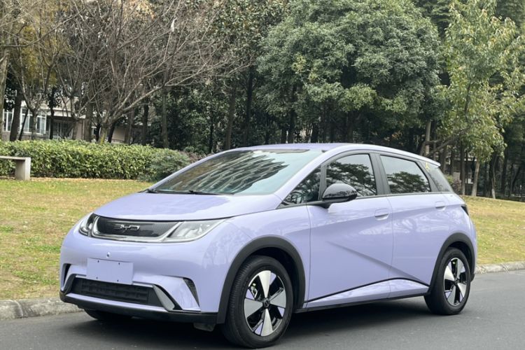 Used BYD Dolphin 2023 420 km Free Version