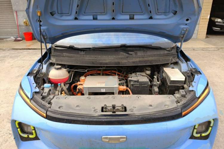 Used Geometry E Firefly 2022 320KM Cute Tiger 4-Seater
