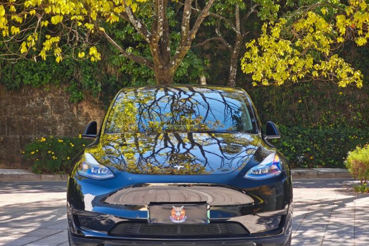 Used Tesla Model Y 2022 Rear-Wheel-Drive Version