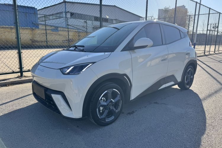 Used BYD Seagull 2024 Honor Edition 305km Freedom Version