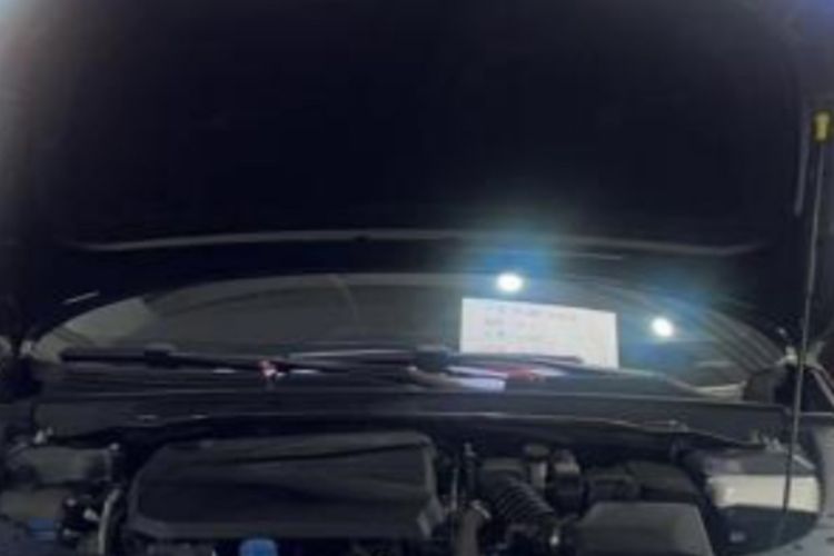 Used Changan UNI-V 2024 1.5T Prestige Sport Edition