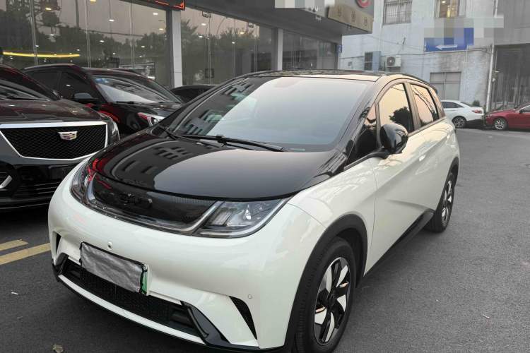 Used BYD Dolphin 2024 Honor Edition 420km Fashion Version