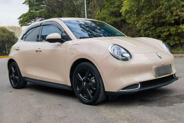 Used ORA Good Cat 2024 401 km Range Luxury Version 135 kW
