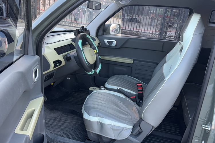 Used  Panda 2024 200km Panda Rider