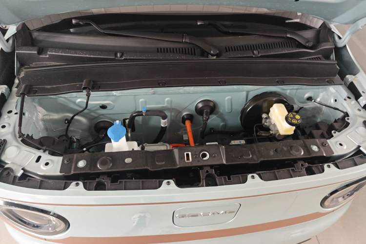 Used  Panda 2024 Panda Mini 200km Endurance Bear
