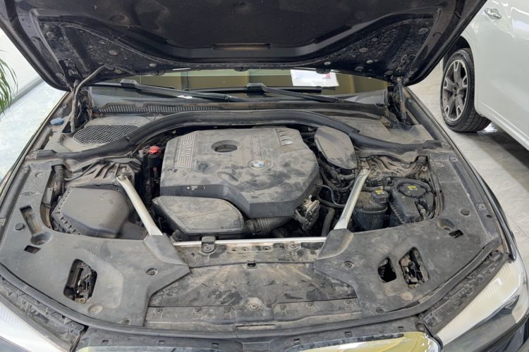 Used BMW 5 Series 2018 525Li Luxury Package
