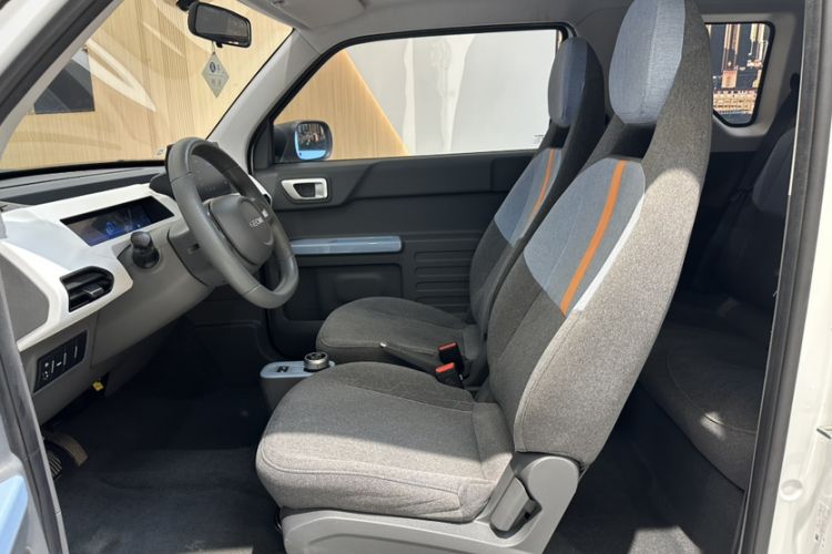 Used  Panda 2024 Panda Mini 200km Endurance Bear
