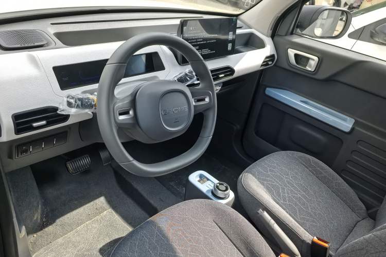 Used  Panda 2024 Panda Mini 200km Endurance Bear
