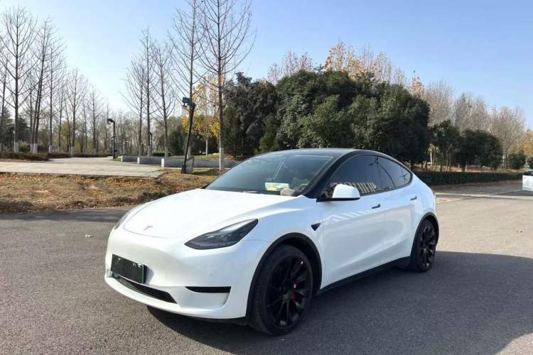 Used Tesla Model Y 2022 Rear-Wheel-Drive Version
