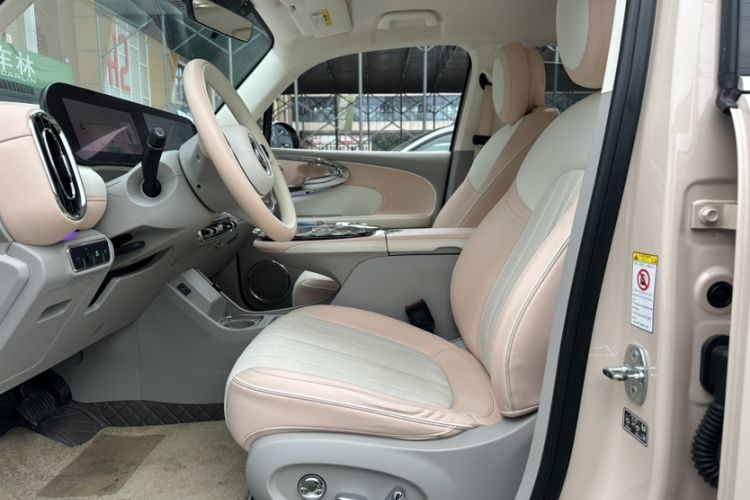 Used ORA Ballet Cat 2022 401 km Nutcracker Edition