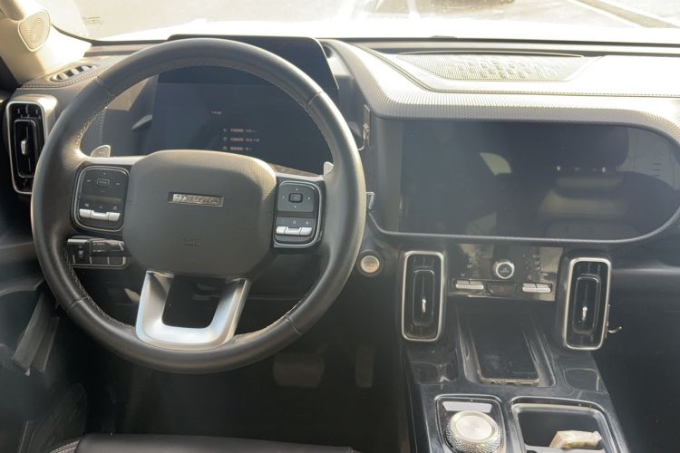 Used Haval DARGO 2021 2.0T DCT 4x4 Chinese Rural Dog Edition
