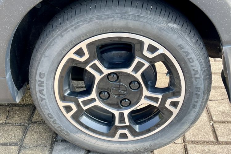 Used  Panda 2024 200km Panda Rider
