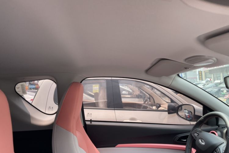 Used Chery Little Ant 2023 251km True Love Edition Lithium Iron Phosphate
