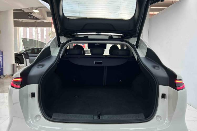 Used  LS6 2023 Max Extended-Range Version