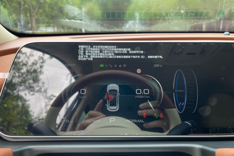 Used ORA Good Cat 2023 401 km Standard Range Luxury Version Lithium Iron Phosphate
