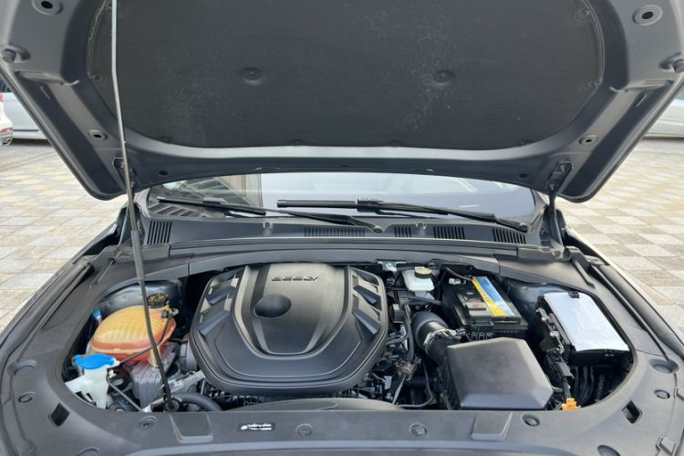 Used Geely Auto Preface 2021 2.0TD Luxury Version
