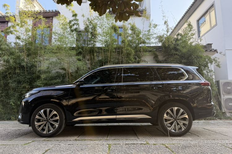 Used  Lanyue 2023 400T Two-Wheel Drive StarRui Edition 6 Seats
