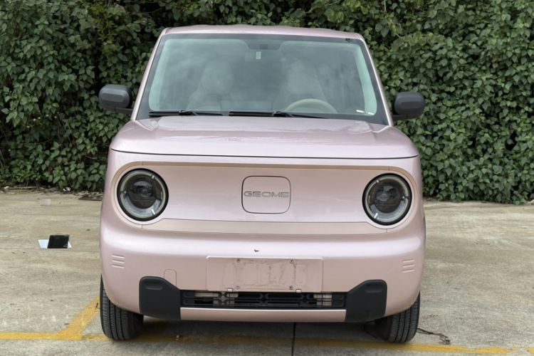 Used  Panda 2023 Panda Mini 200km Endurance Bear
