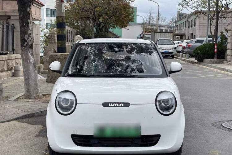 Used  Lumin 2023 301km Honey Dew Edition
