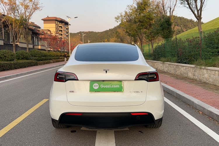 Used Tesla Model Y 2021 Long-Range All-Wheel-Drive Version 3D7
