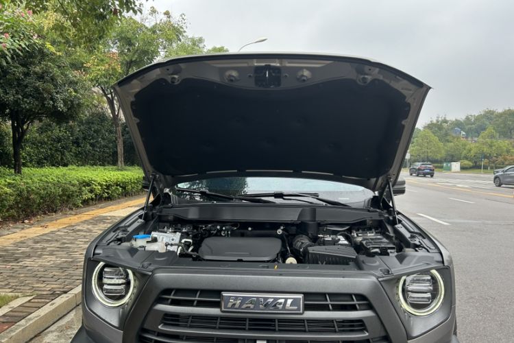 Used Haval DARGO 2022 1.5T DCT Two-Wheel Drive Mastiff Pursuit Edition
