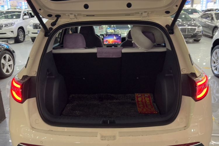 Used  Geome 2025 310km Dream Edition
