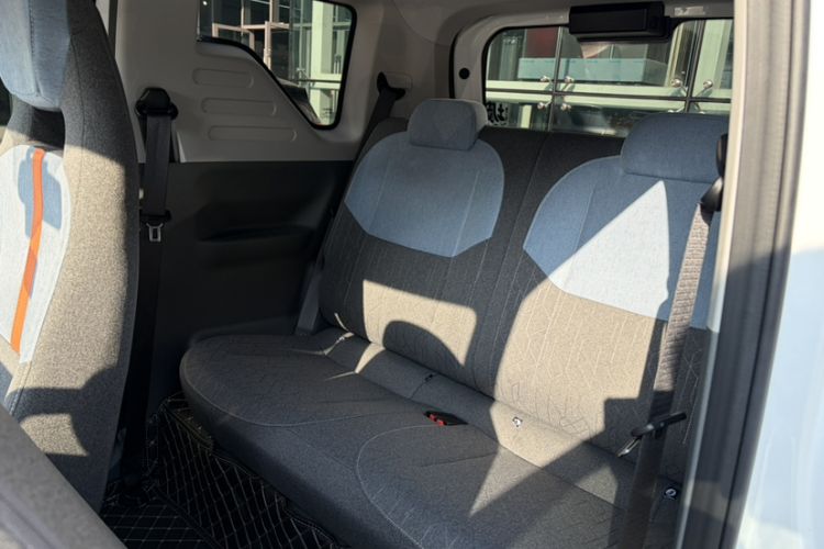 Used  Panda 2024 Panda Mini 200km Endurance Bear
