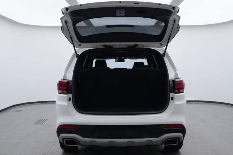 Used Kia KX7 2020 2.0T Automatic Two-Wheel Drive GLS 7-Seater
