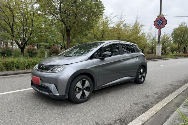 Used BYD Dolphin 2023 420 km Free Version
