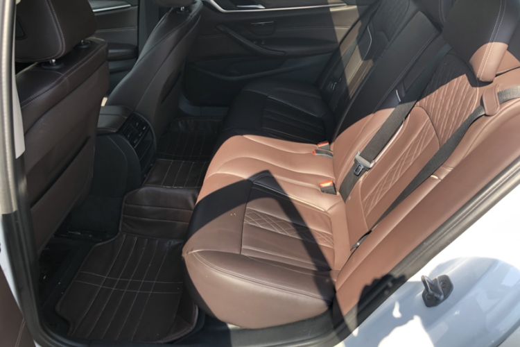 Used BMW 5 Series New Energy 2019 530Le Luxury Package
