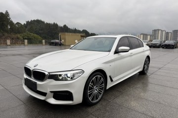 Used BMW 5 Series 2019 530Li Leading Model M Sport Package