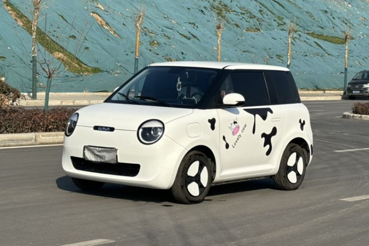 Used Qiyuan Lumin 2023 205km Xiangqin Version