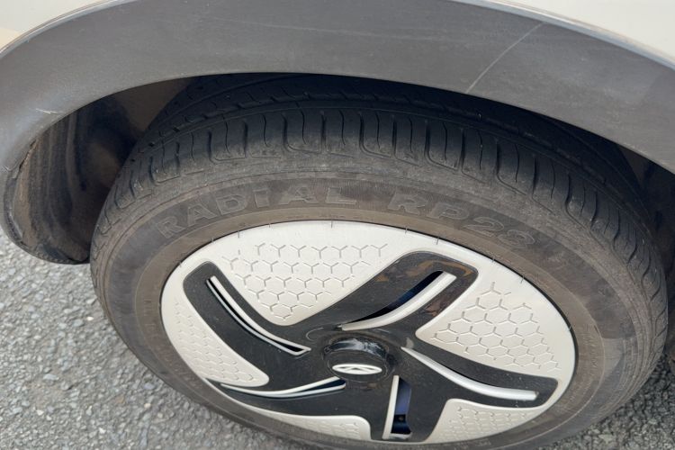 Used Chery Little Ant 2024 251km Love Edition
